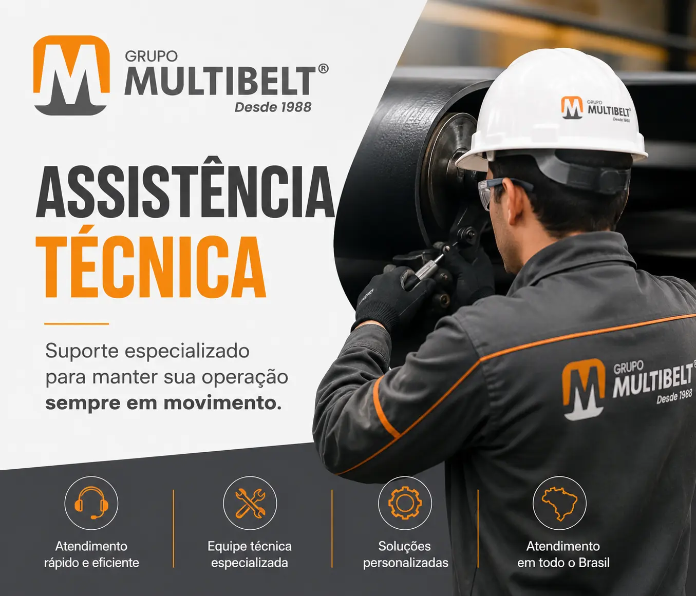 Assistencia tecnica especializada